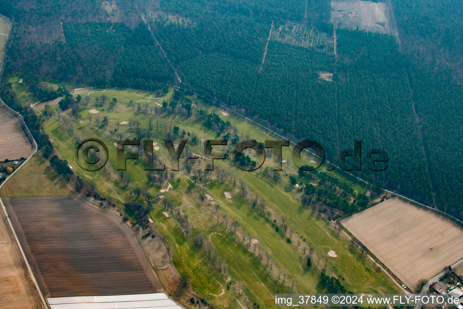 Aerial view of Golf course Rheintal Gmbh in the Oftersheim dunes in the district Hardtwaldsiedlung in Oftersheim in the state Baden-Wuerttemberg, Germany