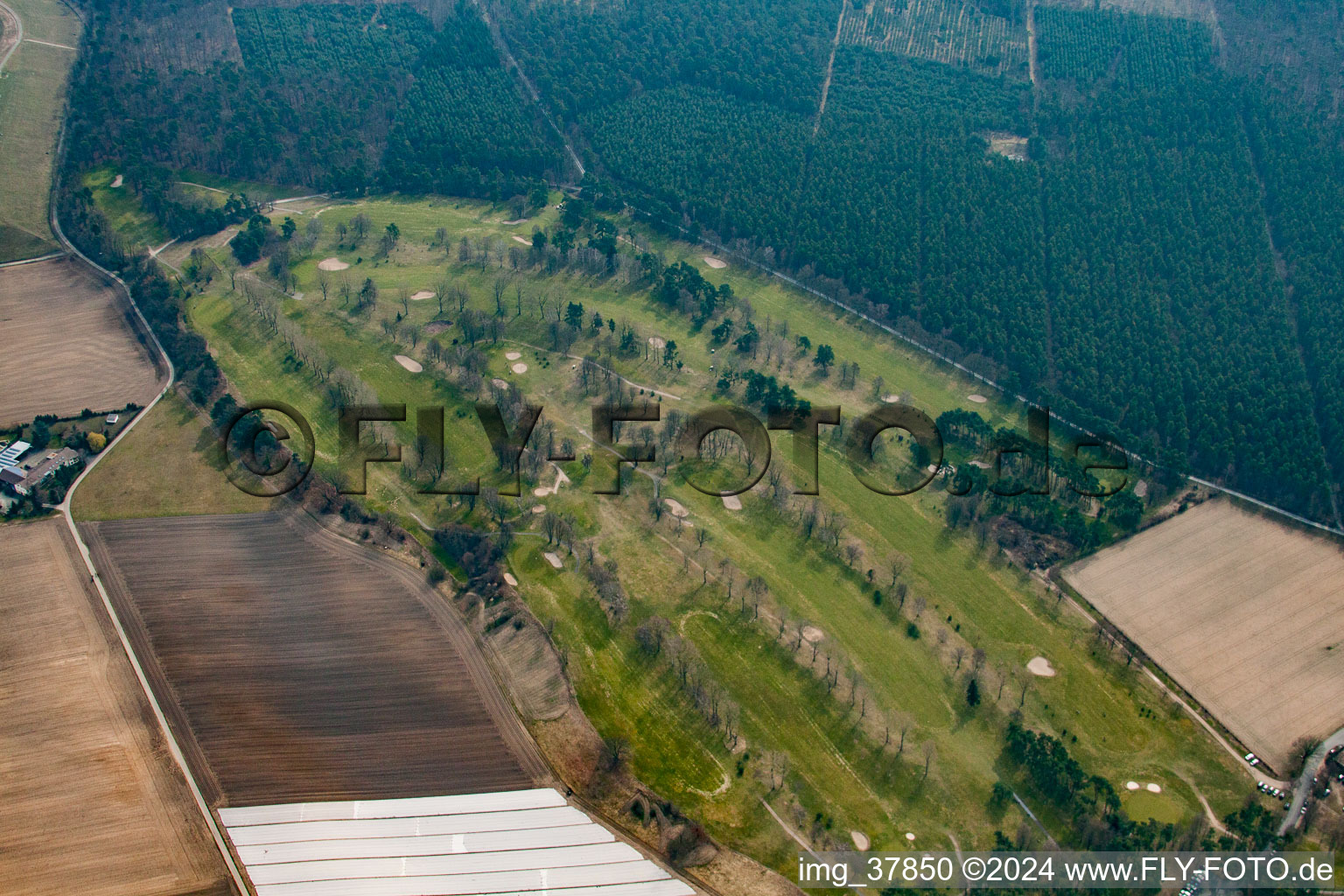 Aerial photograpy of Golf course Rheintal Gmbh in the Oftersheim dunes in the district Hardtwaldsiedlung in Oftersheim in the state Baden-Wuerttemberg, Germany