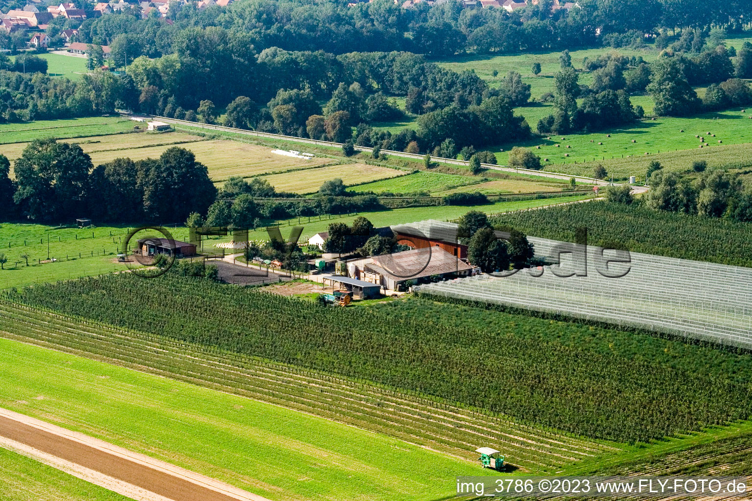 Lindenhof: Gensheimer fruit and asparagus farm in Steinweiler in the state Rhineland-Palatinate, Germany seen from above