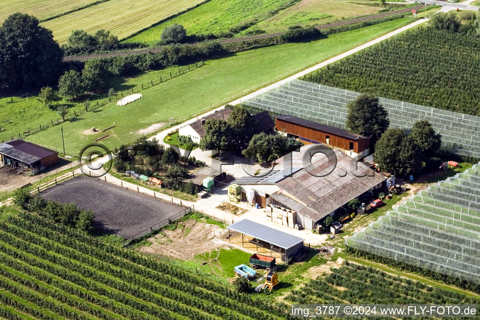 Lindenhof: Gensheimer fruit and asparagus farm in Steinweiler in the state Rhineland-Palatinate, Germany from the plane