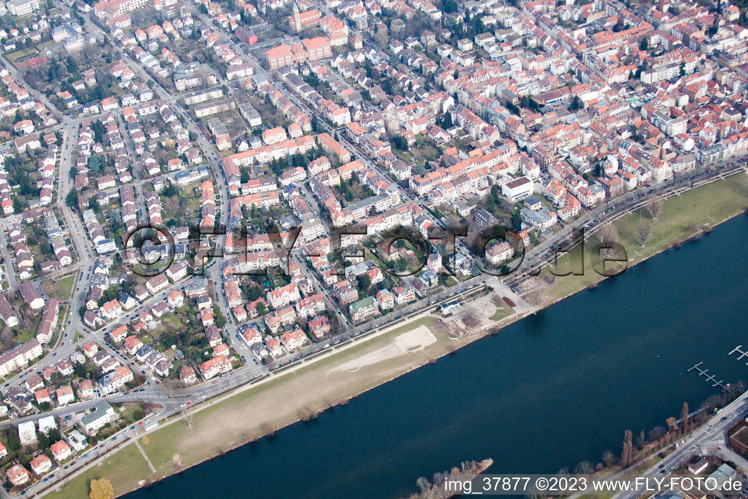 Neckarwiese in the district Neuenheim in Heidelberg in the state Baden-Wuerttemberg, Germany