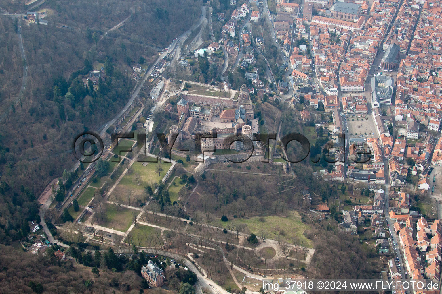 Heidelberg Castle in the district Kernaltstadt in Heidelberg in the state Baden-Wuerttemberg, Germany