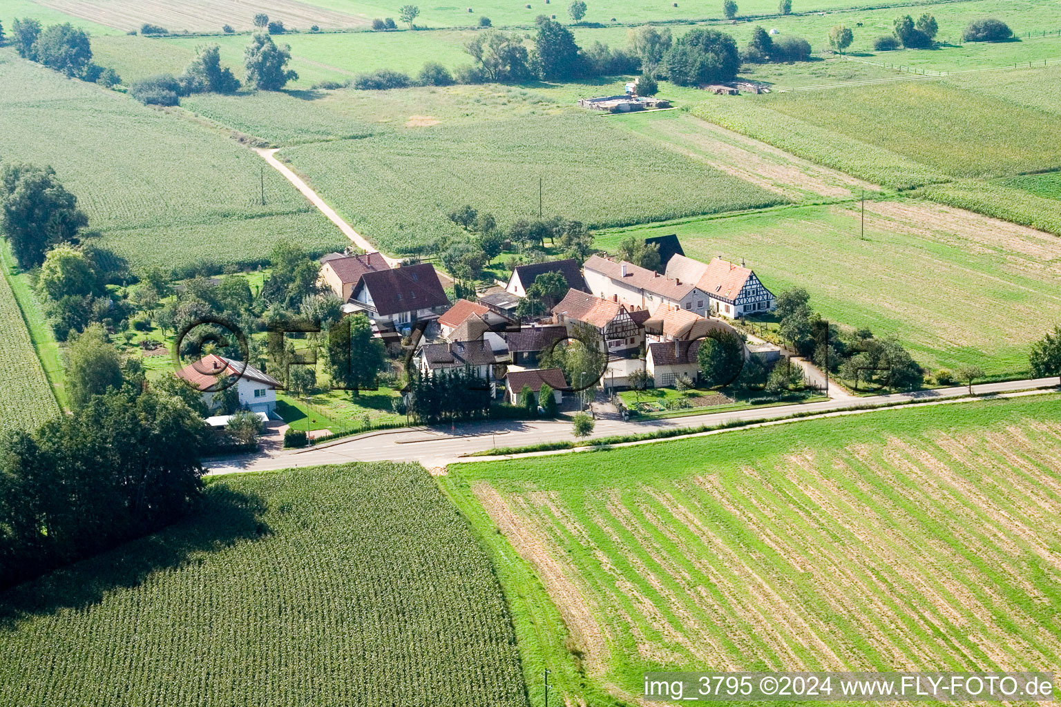 Aerial view of Welschhof in Minfeld in the state Rhineland-Palatinate, Germany