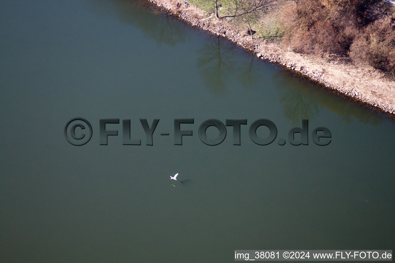 Eberbach in the state Baden-Wuerttemberg, Germany from above