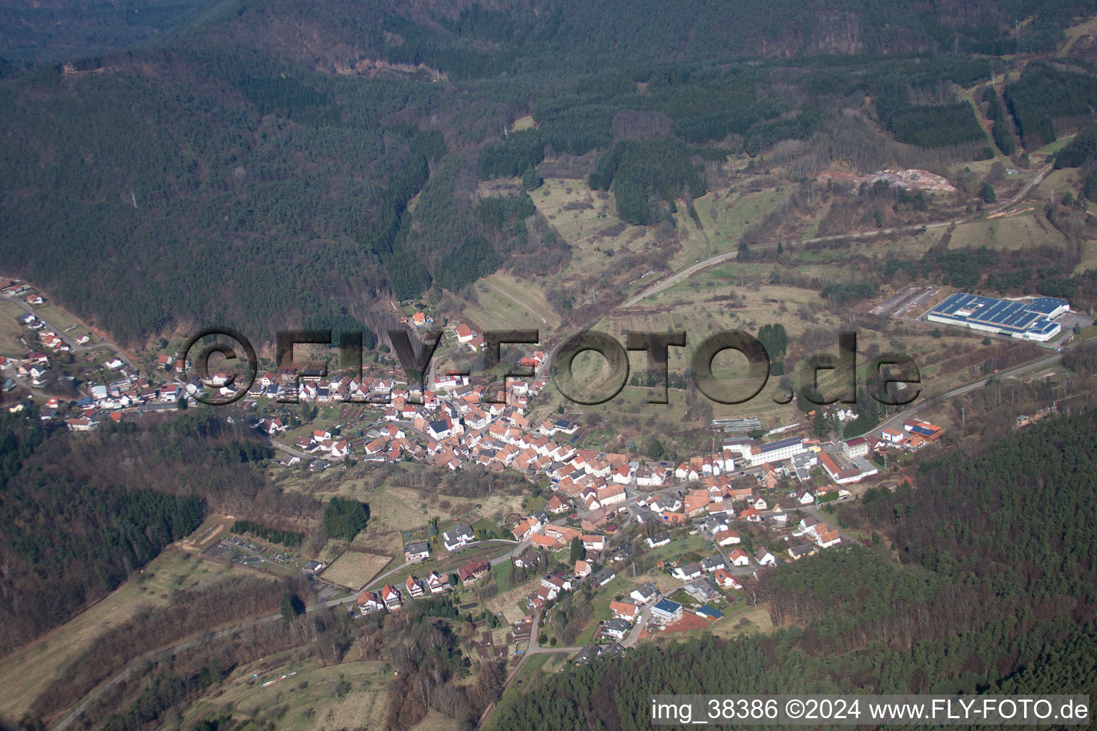 Oblique view of Schwanheim in the state Rhineland-Palatinate, Germany