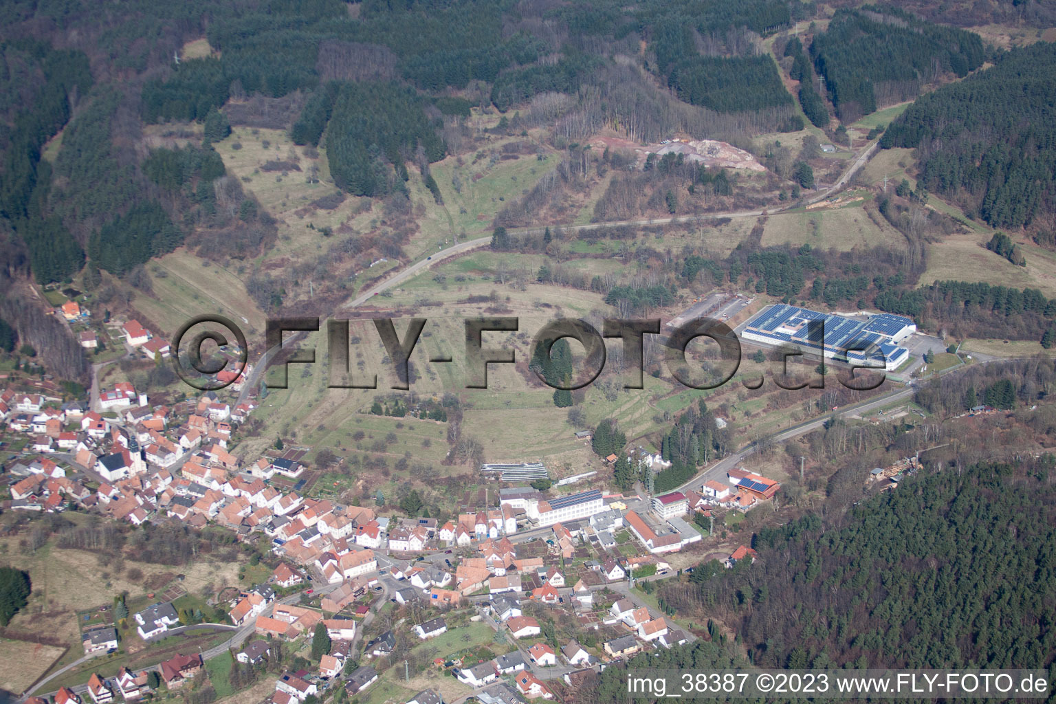 Schwanheim in the state Rhineland-Palatinate, Germany seen from above