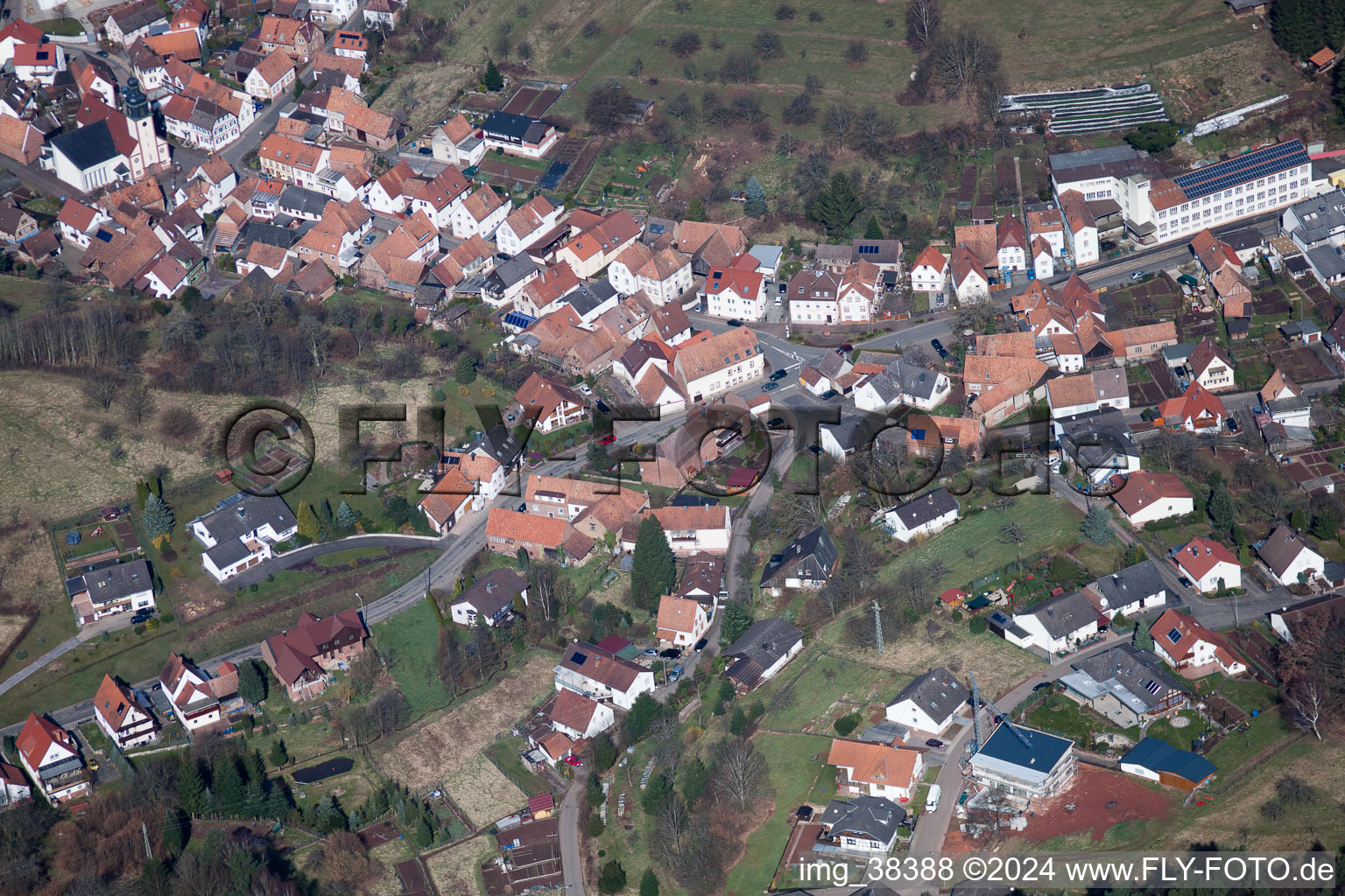 Schwanheim in the state Rhineland-Palatinate, Germany from the plane