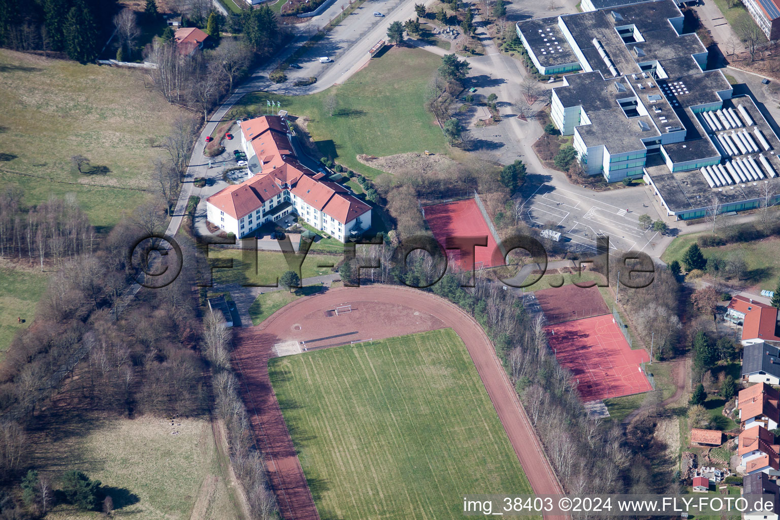 Dahn in the state Rhineland-Palatinate, Germany from above