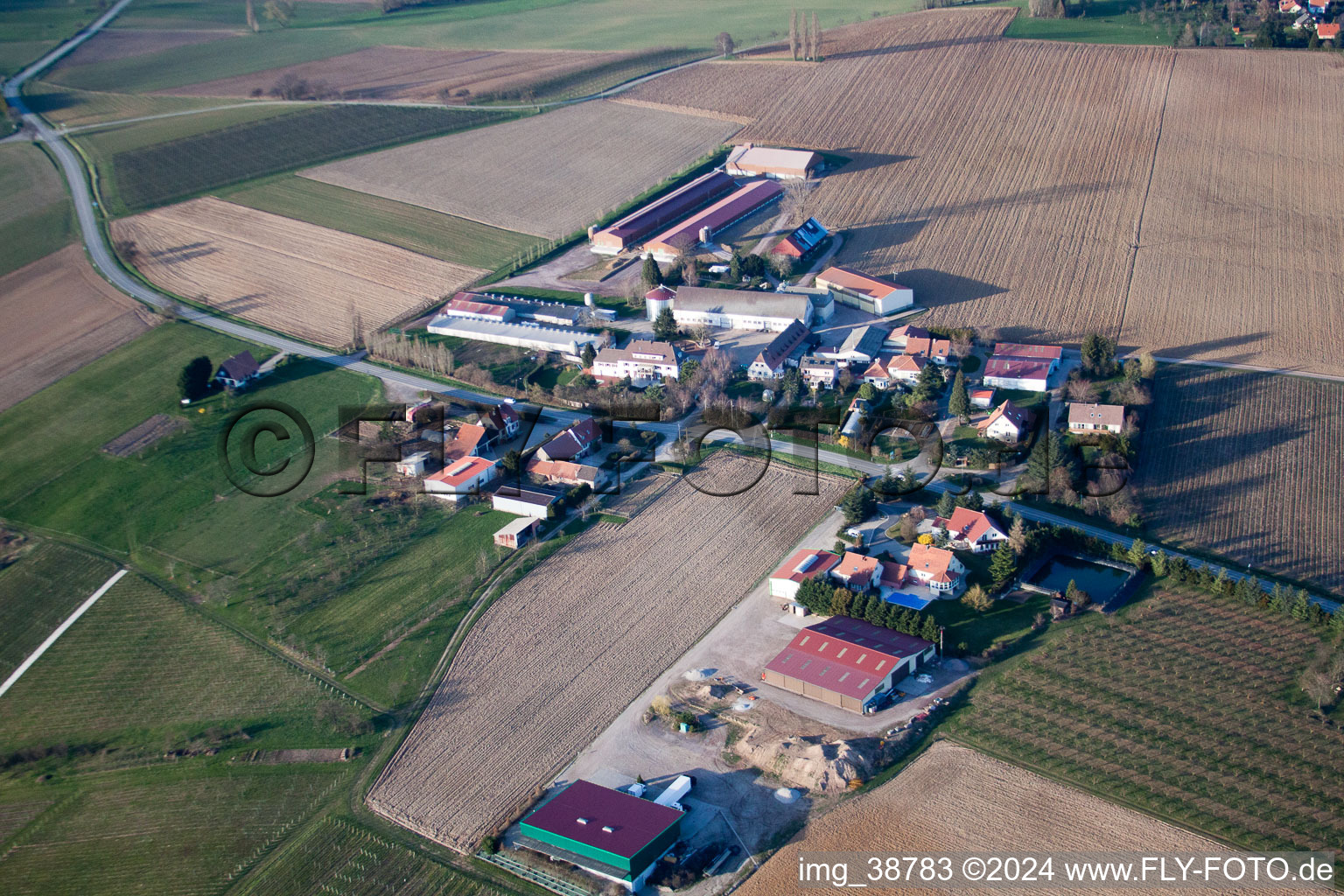 Aerial photograpy of Steinseltz in the state Bas-Rhin, France