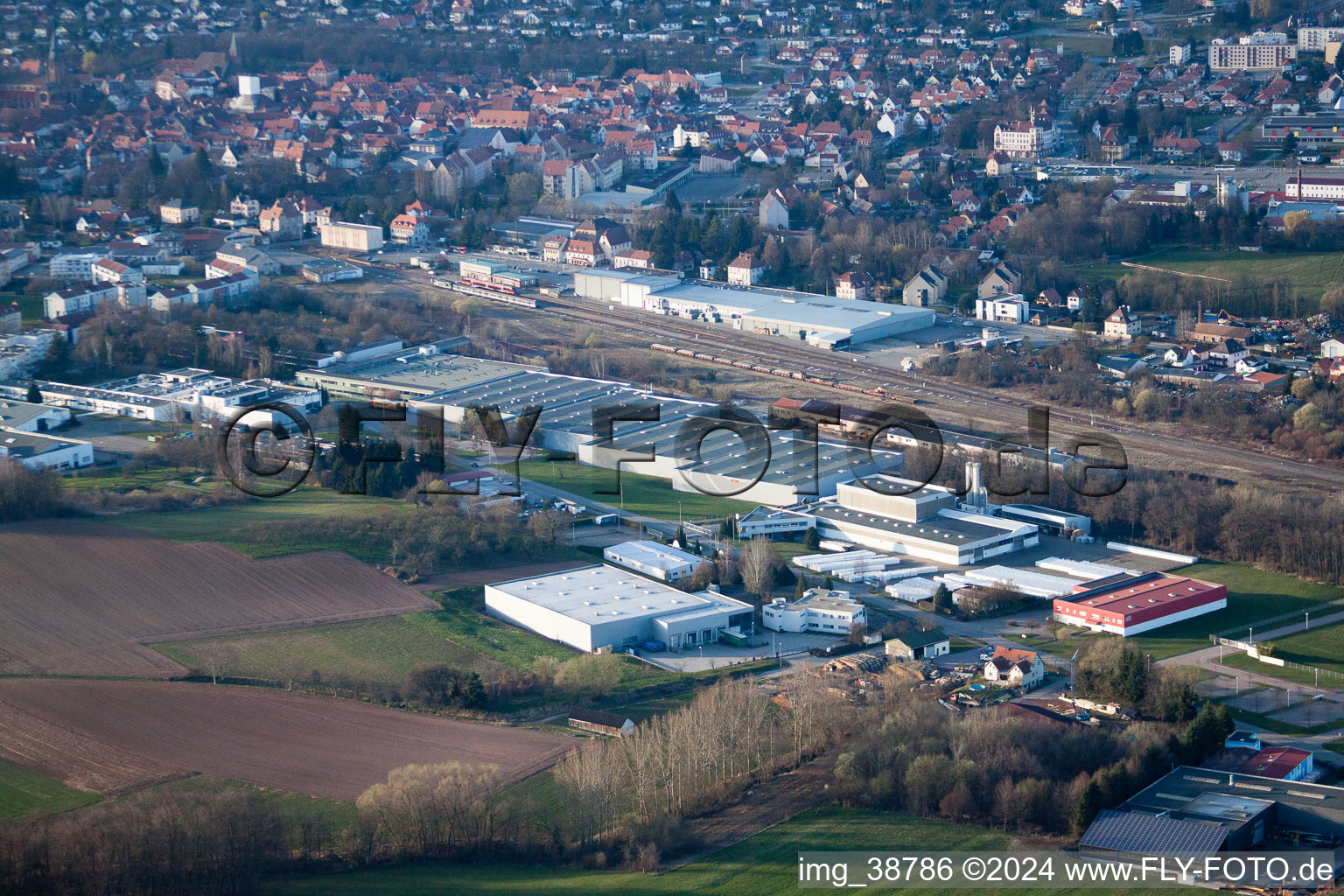 Wolf Tools in the district Altenstadt in Wissembourg in the state Bas-Rhin, France