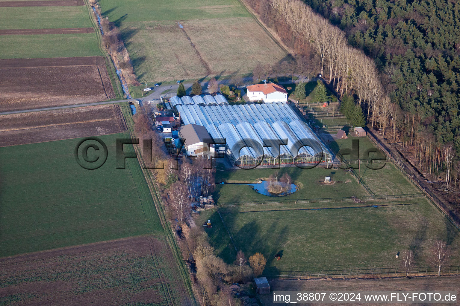 Bird's eye view of Steinfeld in the state Rhineland-Palatinate, Germany