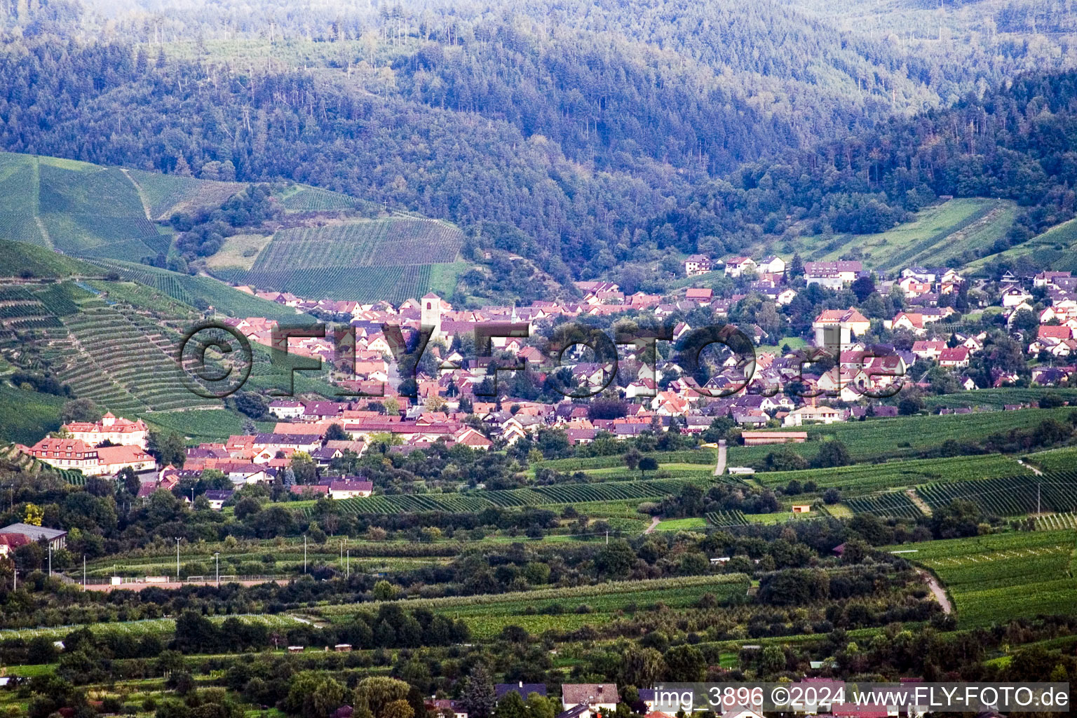 Bird's eye view of District Steinbach in Baden-Baden in the state Baden-Wuerttemberg, Germany