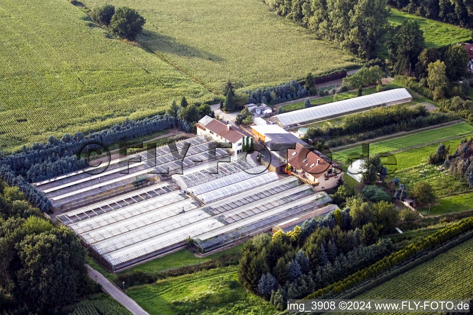 Glass roof areas in the greenhouse rows for flower cultivation in the district Steinbach in Baden-Baden in the state Baden-Wuerttemberg, Germany