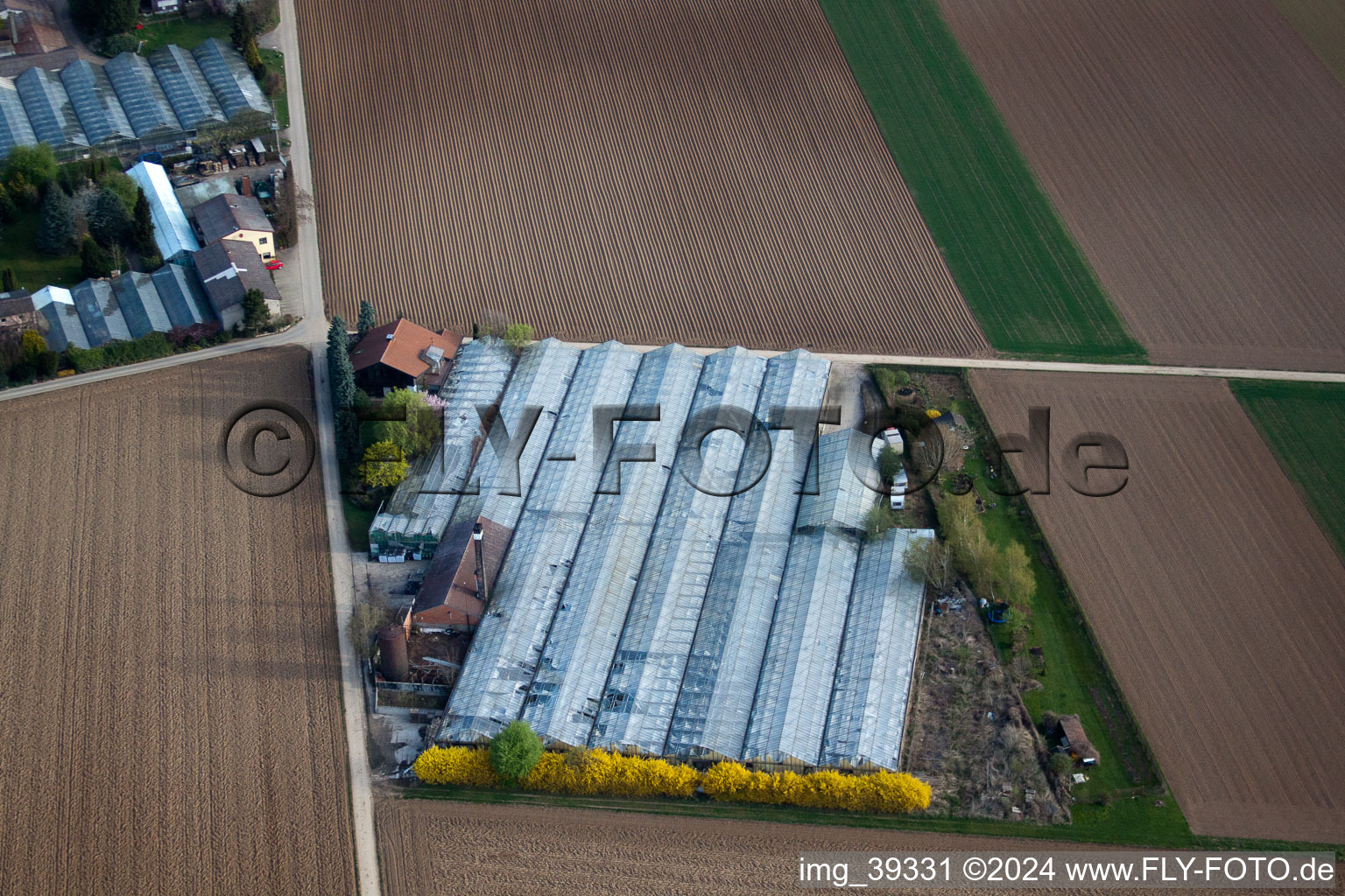 Little Field in Möglingen in the state Baden-Wuerttemberg, Germany