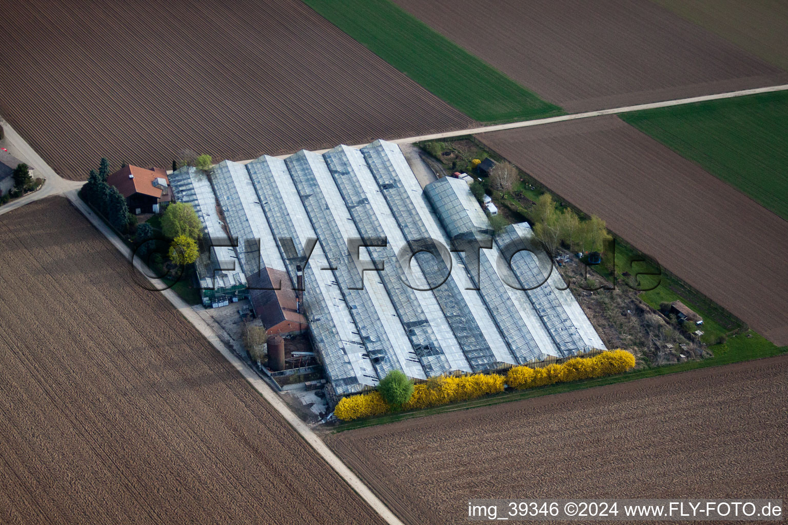 Oblique view of Little Field in Möglingen in the state Baden-Wuerttemberg, Germany