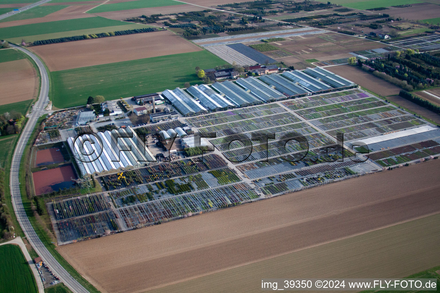 Aerial photograpy of Häussermann Perennials + Woody Plants, In the Cornfield in Möglingen in the state Baden-Wuerttemberg, Germany