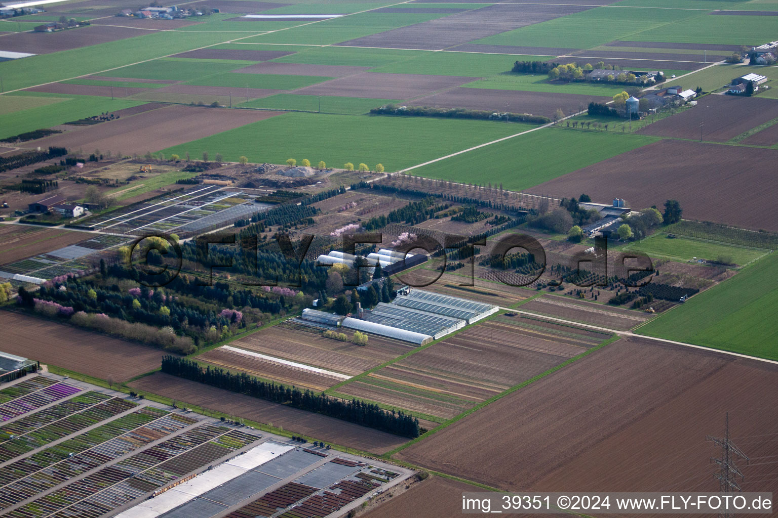 Oblique view of Häussermann Perennials + Woody Plants, In the Cornfield in Möglingen in the state Baden-Wuerttemberg, Germany