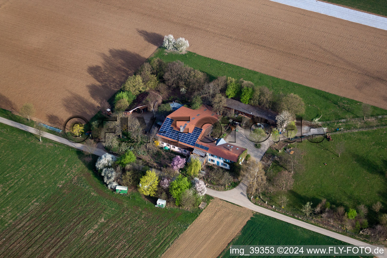 Aerial view of In the cornfield in Möglingen in the state Baden-Wuerttemberg, Germany