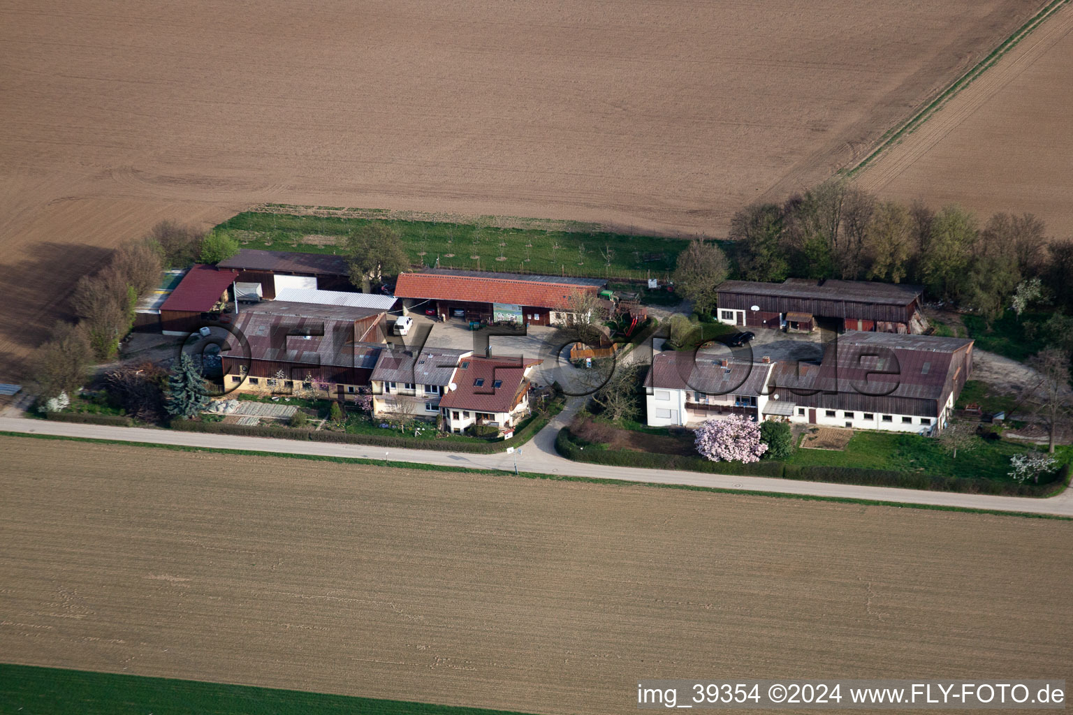 Aerial photograpy of In the cornfield in Möglingen in the state Baden-Wuerttemberg, Germany