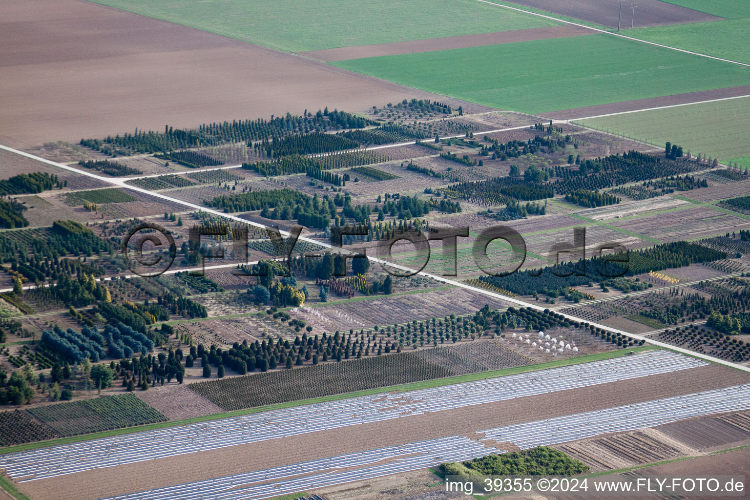 Häussermann Perennials + Woody Plants, In the Cornfield in Möglingen in the state Baden-Wuerttemberg, Germany from above