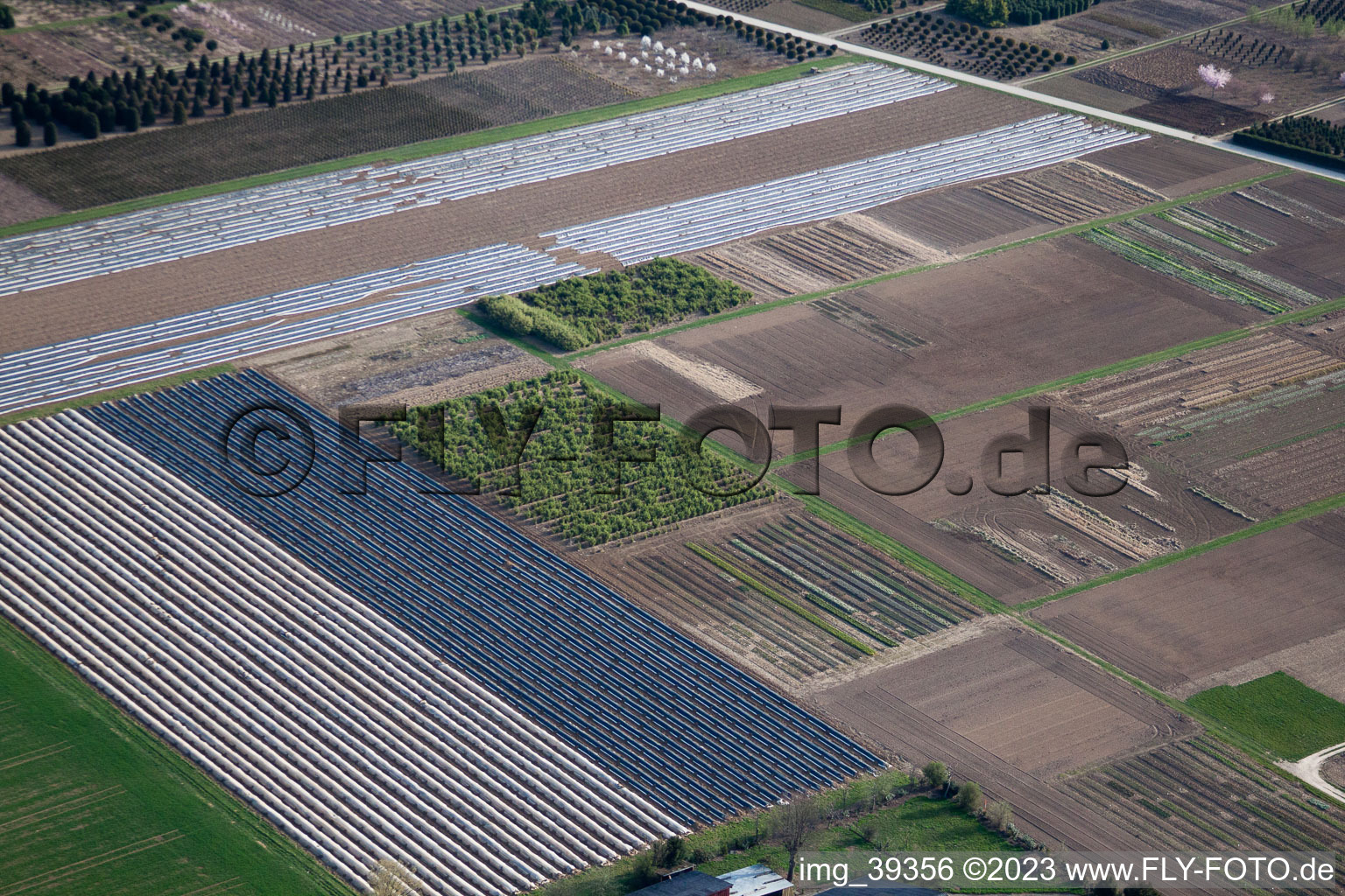 Häussermann perennials + trees, in the cornfield in Möglingen in the state Baden-Wuerttemberg, Germany out of the air