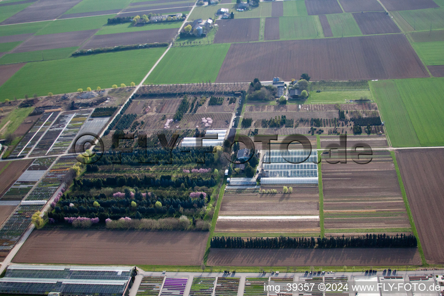 Häussermann Perennials + Woody Plants, In the Cornfield in Möglingen in the state Baden-Wuerttemberg, Germany seen from above