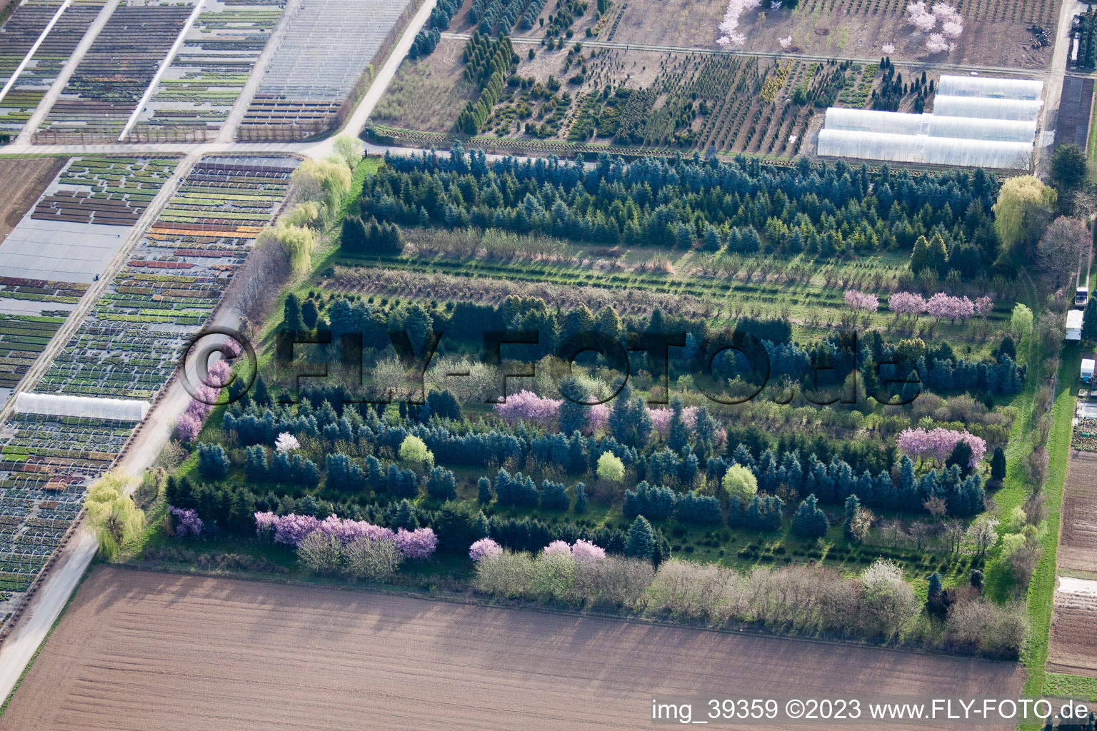 Bird's eye view of Häussermann perennials + trees, in the cornfield in Möglingen in the state Baden-Wuerttemberg, Germany