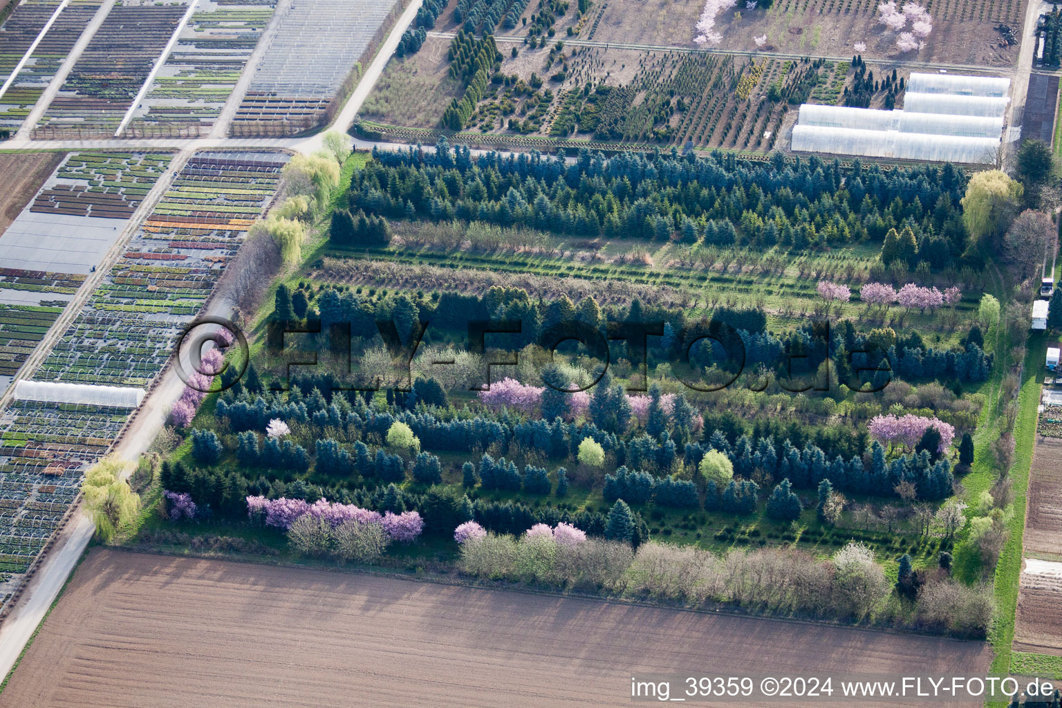 Bird's eye view of Häussermann Perennials + Woody Plants, In the Cornfield in Möglingen in the state Baden-Wuerttemberg, Germany