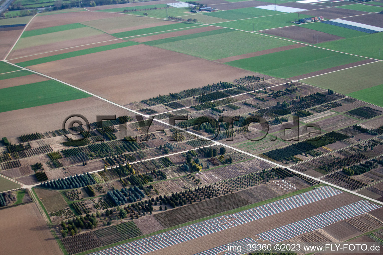 Häussermann perennials + trees, in the cornfield in Möglingen in the state Baden-Wuerttemberg, Germany viewn from the air