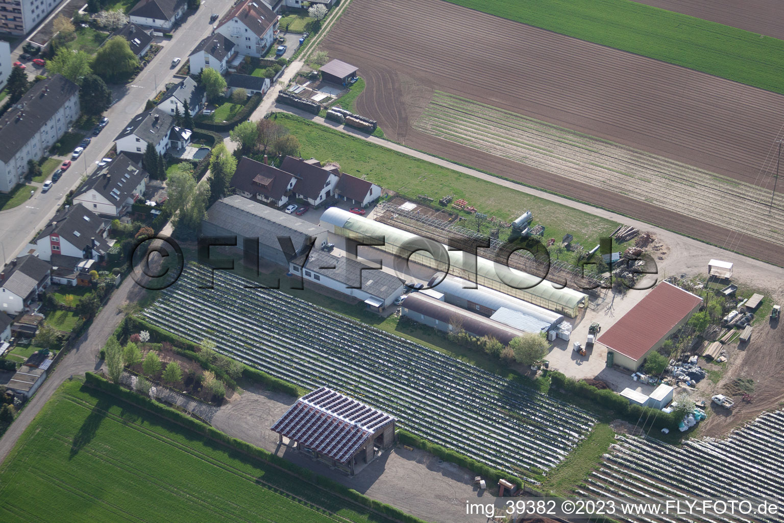 Organic farm on Sonnenweg in Kandel in the state Rhineland-Palatinate, Germany