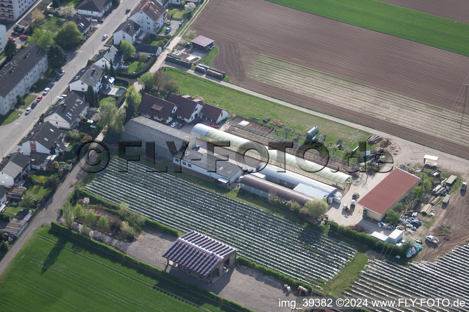 Organic farm Am Sonnenweg in Kandel in the state Rhineland-Palatinate, Germany