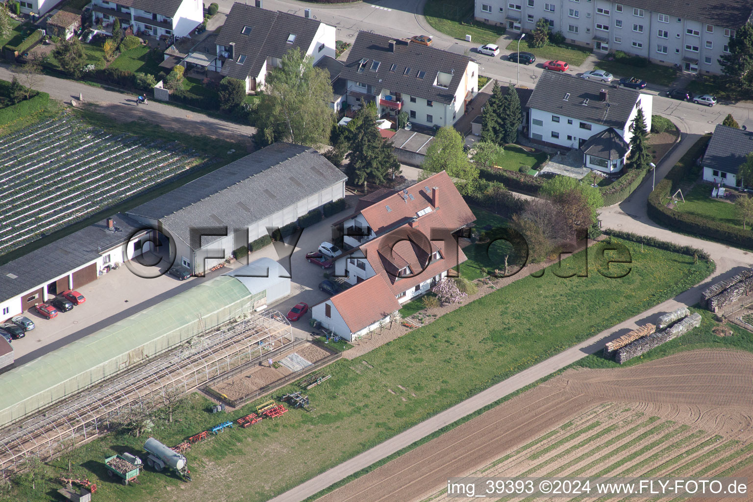 Oblique view of Organic farm Am Sonnenweg in Kandel in the state Rhineland-Palatinate, Germany