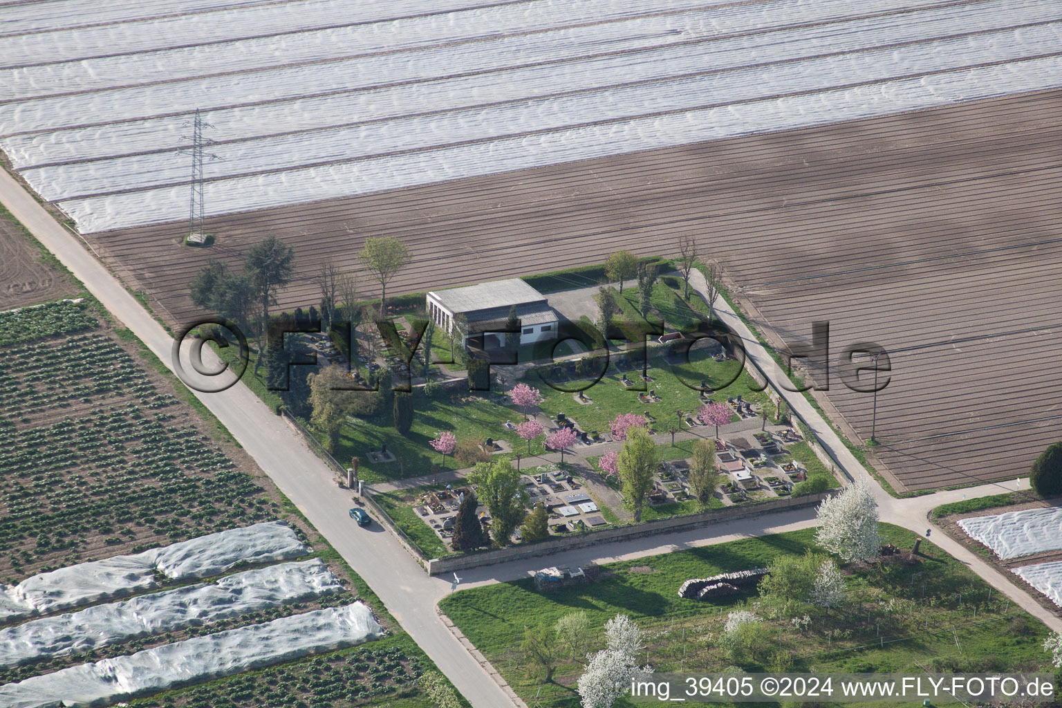 Cemetery in Erlenbach bei Kandel in the state Rhineland-Palatinate, Germany