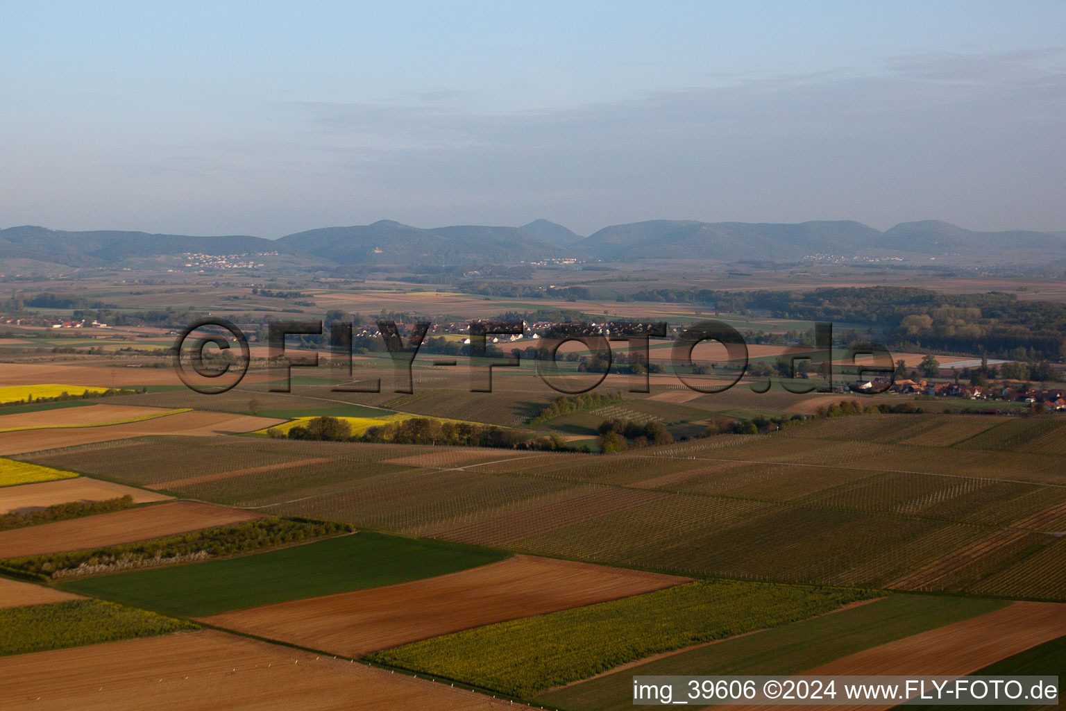 Hergersweiler in the state Rhineland-Palatinate, Germany viewn from the air