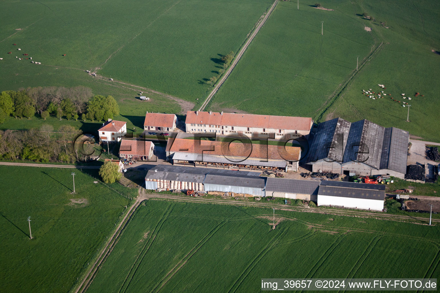 Aerial view of Rimling in the state Moselle, France