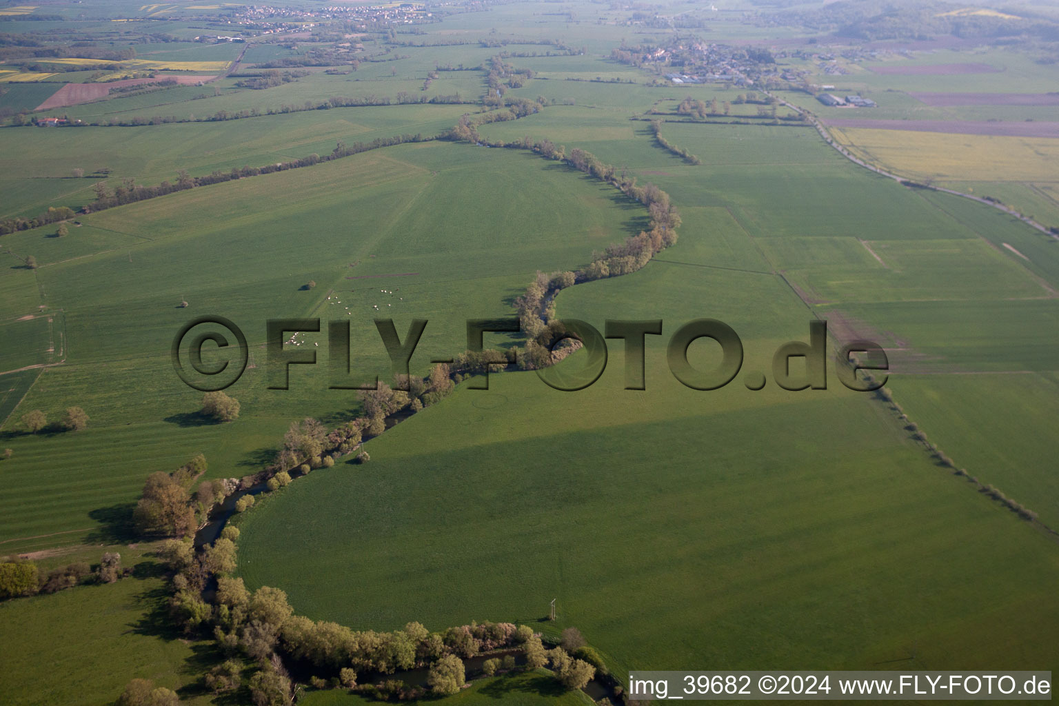 Gomelange in the state Moselle, France