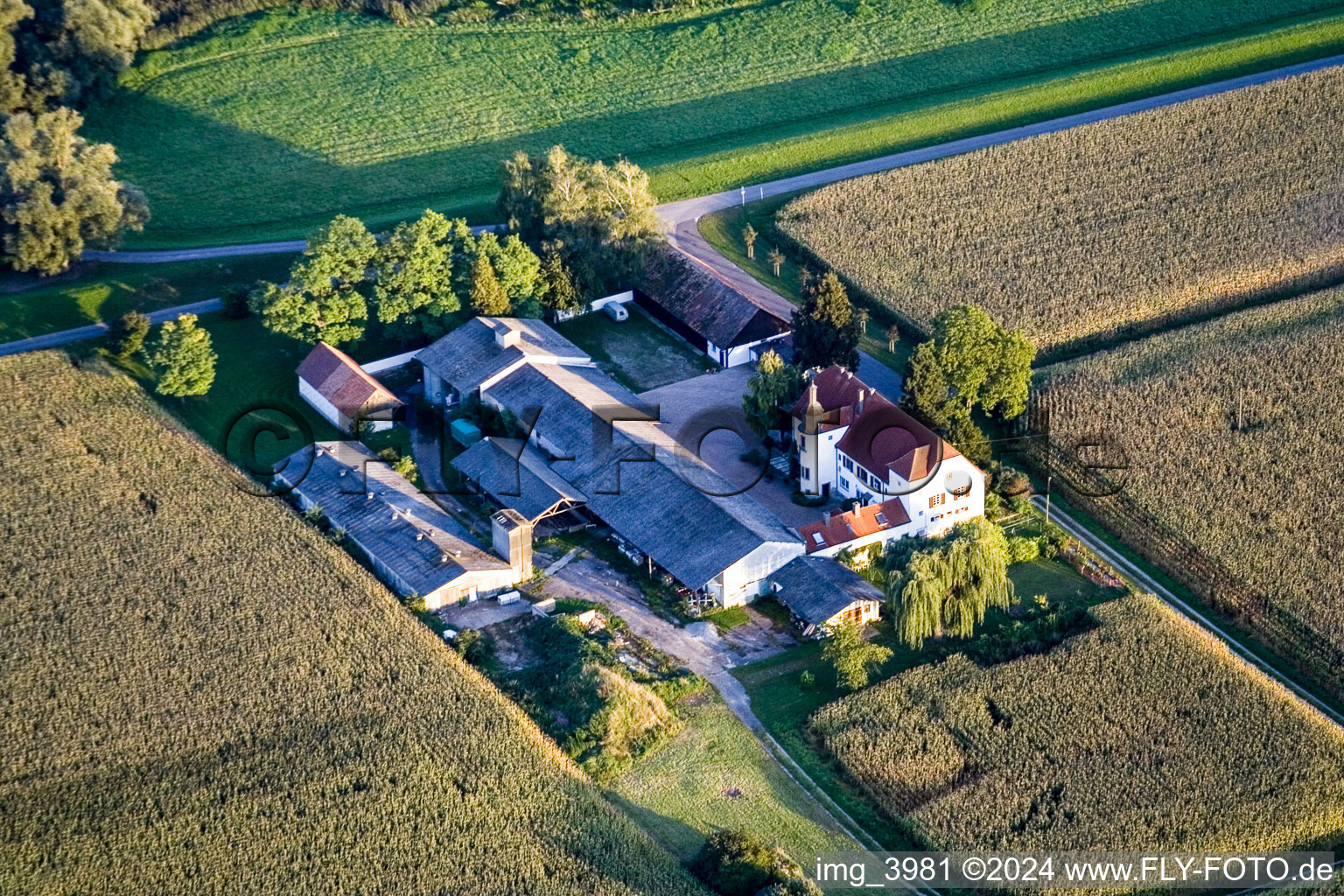 Aerial view of Ludwigsau on the Rhine in the district Maximiliansau in Wörth am Rhein in the state Rhineland-Palatinate, Germany