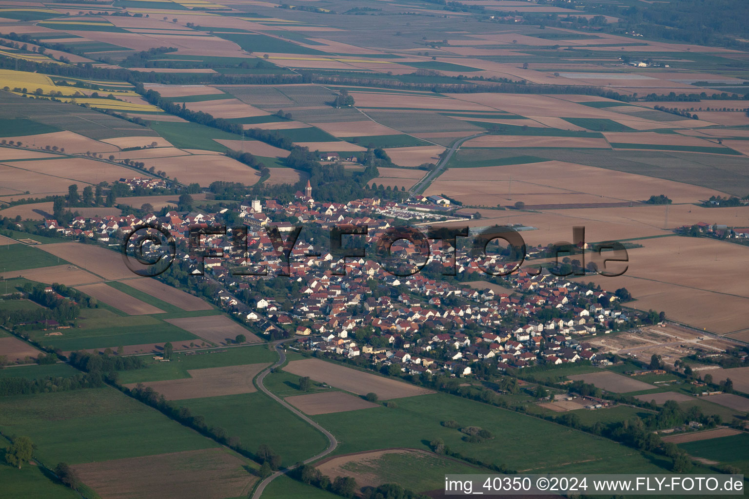 Bird's eye view of Minfeld in the state Rhineland-Palatinate, Germany