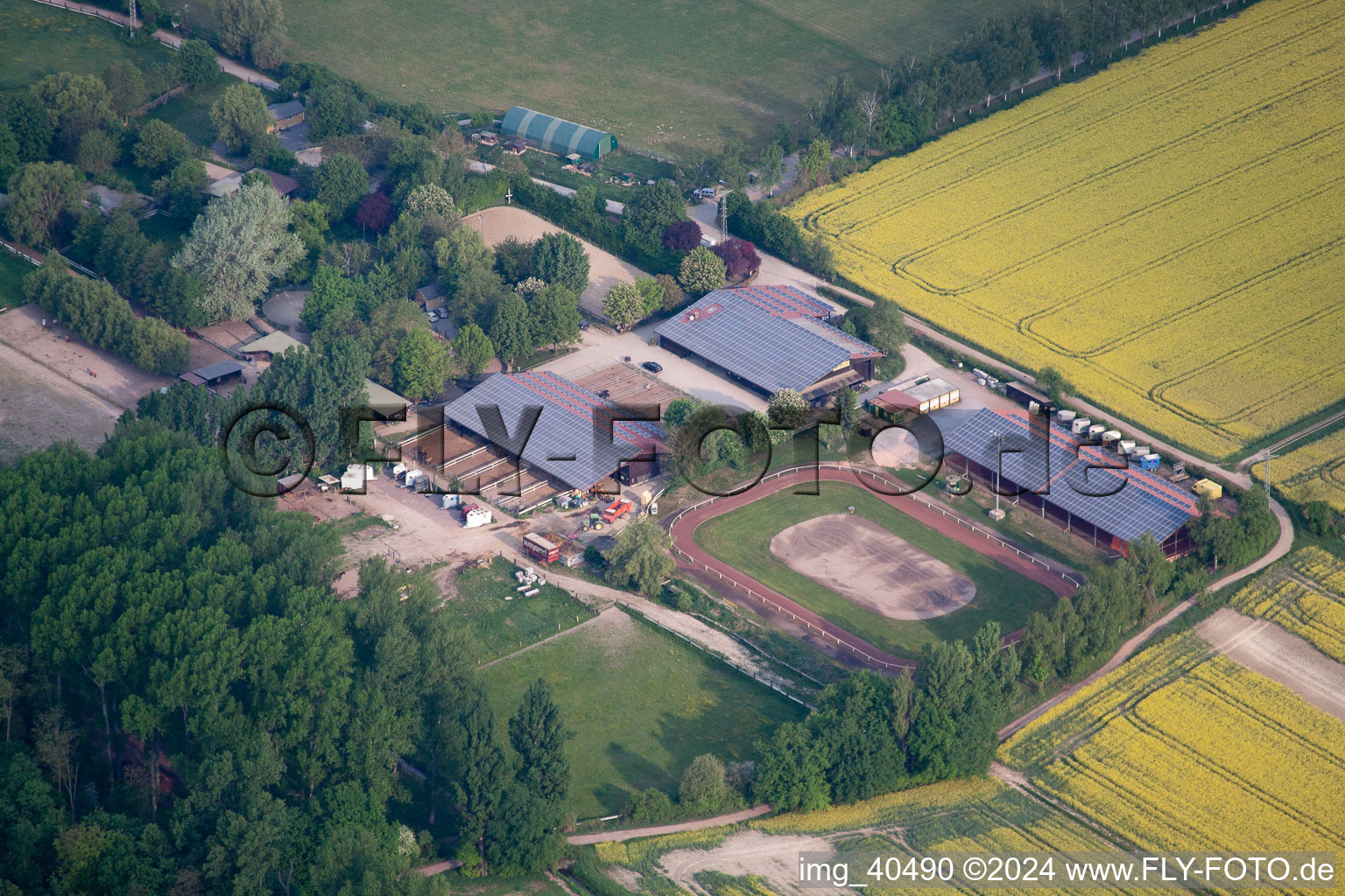 Altrip in the state Rhineland-Palatinate, Germany out of the air