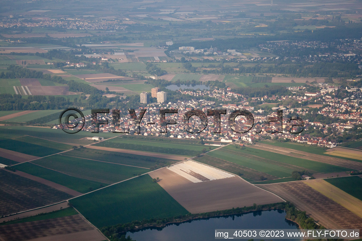Altrip in the state Rhineland-Palatinate, Germany seen from a drone