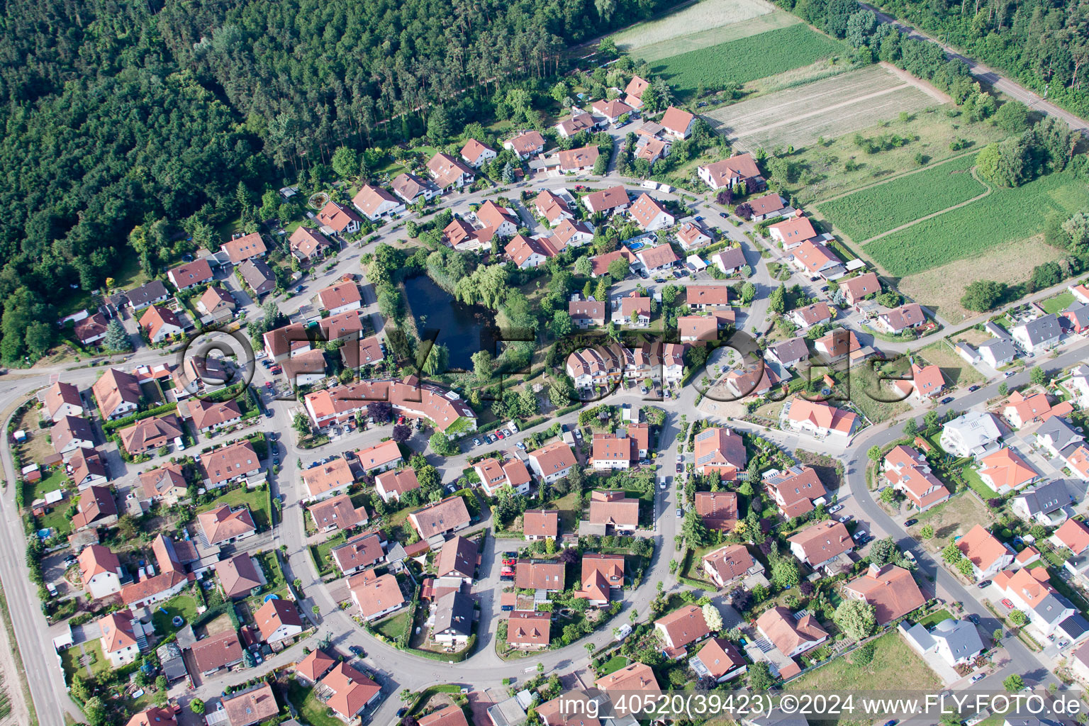 Rheinzabern in the state Rhineland-Palatinate, Germany from a drone