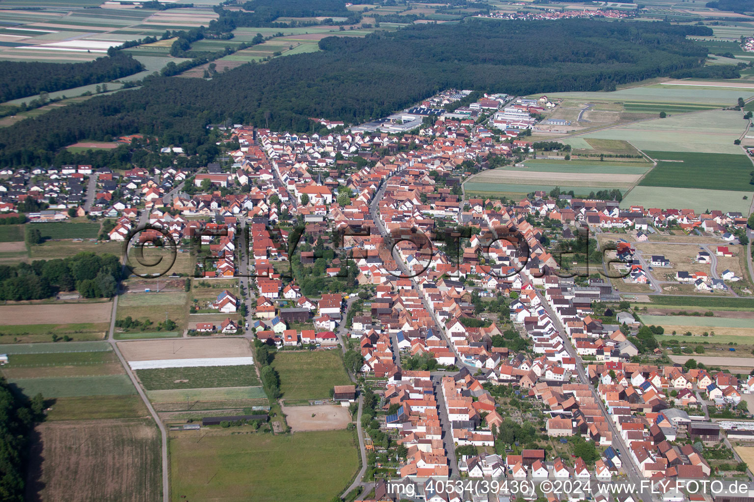 Hatzenbühl in the state Rhineland-Palatinate, Germany from above