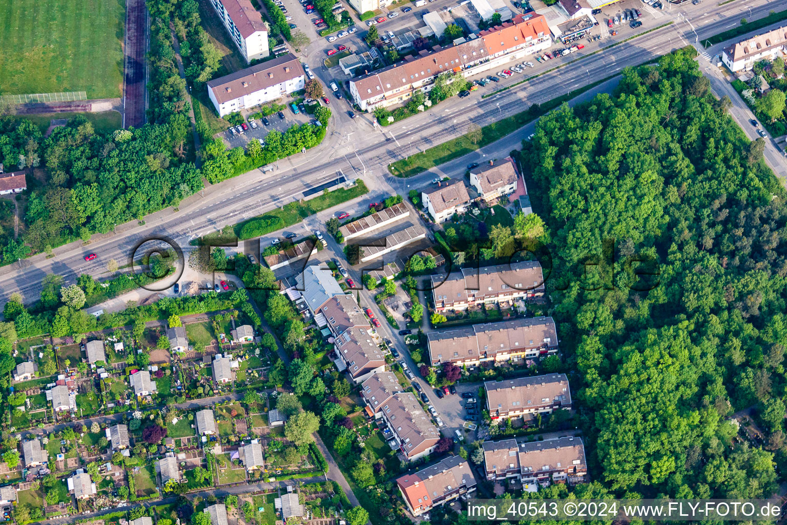 Forest clearing in the district Rheinau in Mannheim in the state Baden-Wuerttemberg, Germany