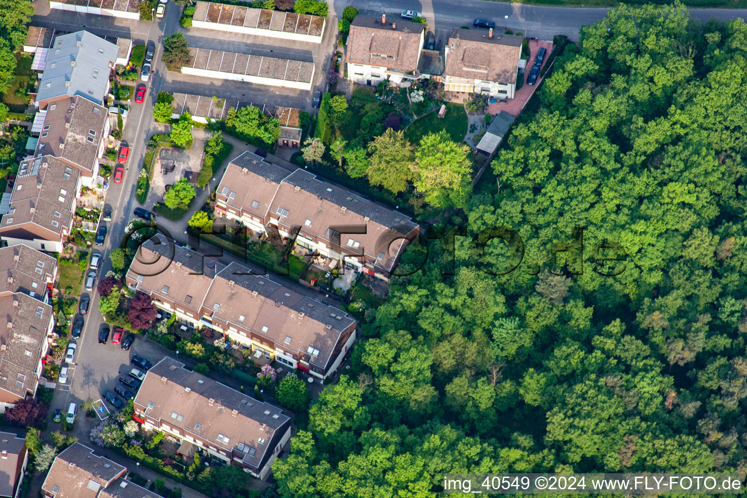 Aerial view of Forest clearing in the district Rheinau in Mannheim in the state Baden-Wuerttemberg, Germany