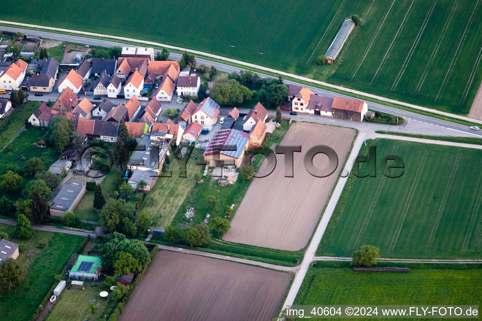 Brehmstr in the district Minderslachen in Kandel in the state Rhineland-Palatinate, Germany