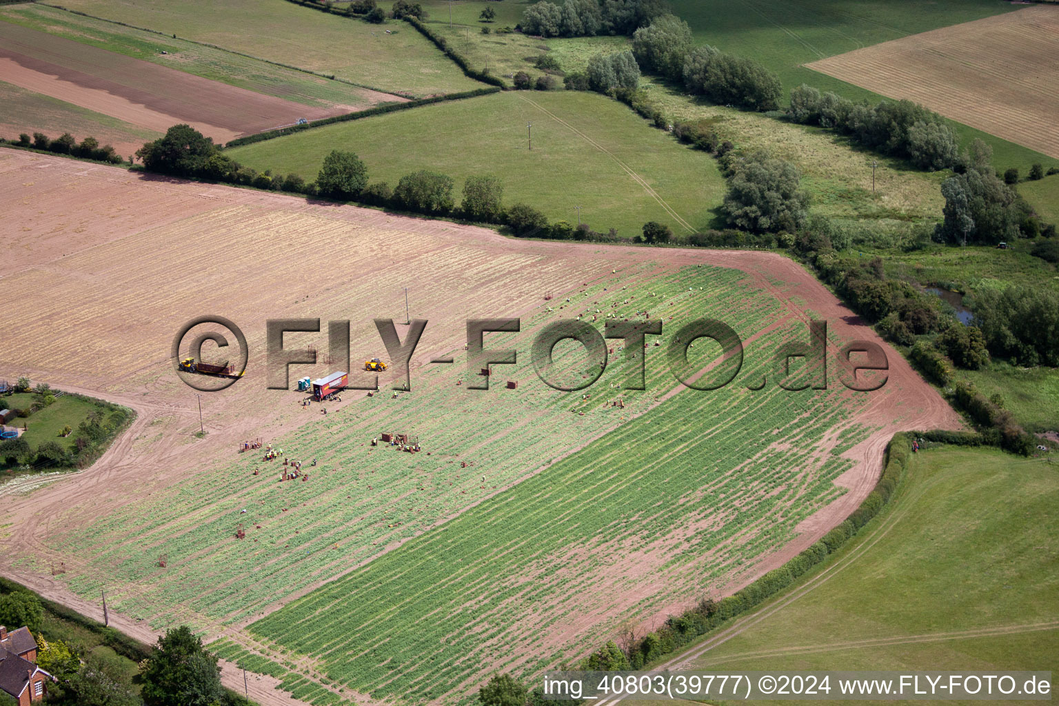 Vegetable harvest at Ripple in Ripple in the state England, Great Britain