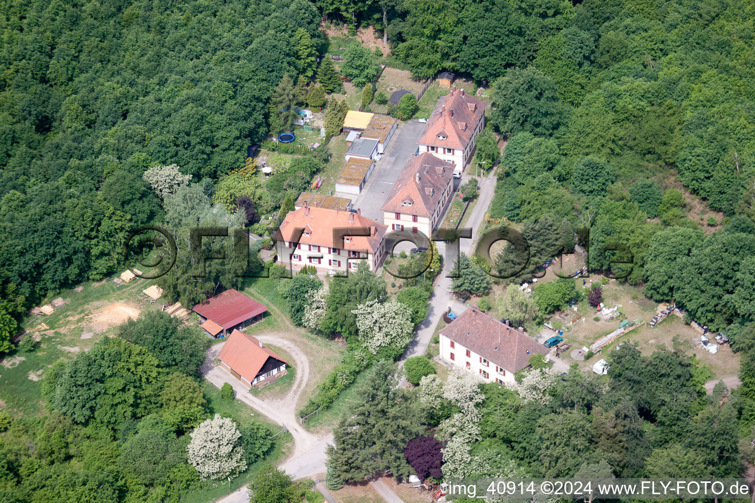 (Palatinate), Seufzerallee 4 in Scheibenhardt in the state Rhineland-Palatinate, Germany from a drone