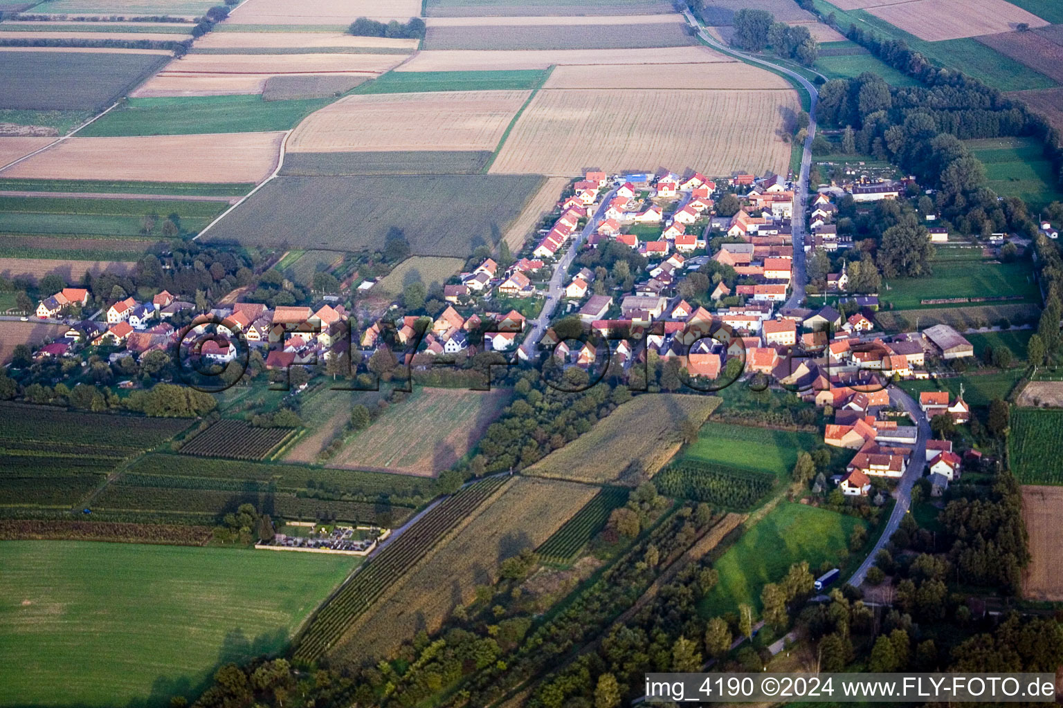 Aerial view of District Kleinsteinfeld in Niederotterbach in the state Rhineland-Palatinate, Germany