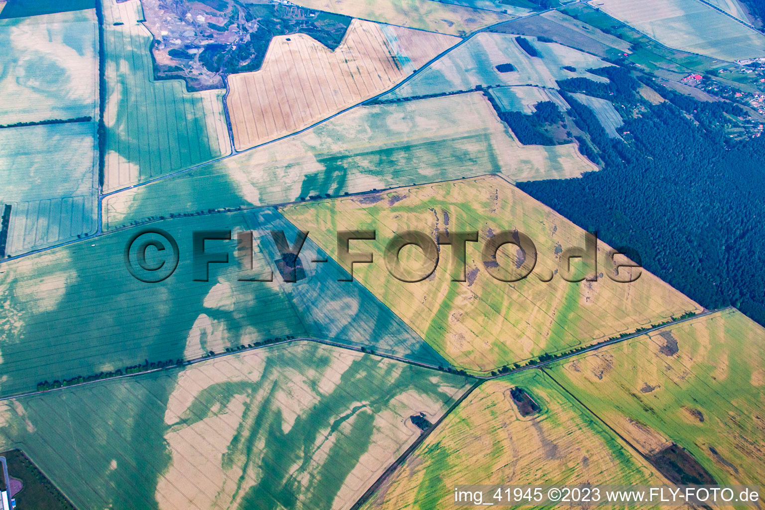 Field mosaic with drought damage in the district Warnstedt in Thale in the state Saxony-Anhalt, Germany