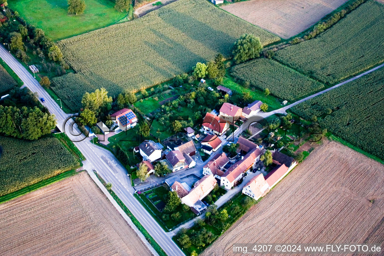 Aerial photograpy of Welschhof in Minfeld in the state Rhineland-Palatinate, Germany